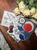 Collected Cazoshay Snail Mail Fine Art Club 🥀💌🥀